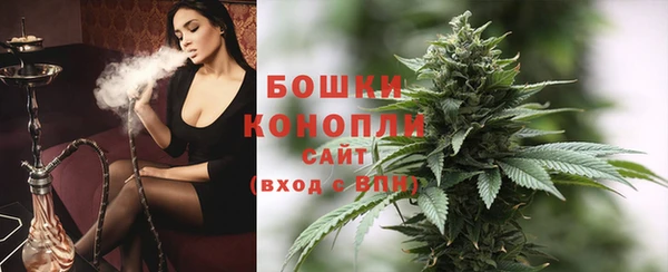 гидра Белокуриха