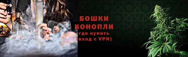сатива Белоозёрский
