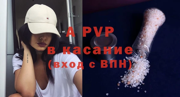 PSILOCYBIN Богородицк