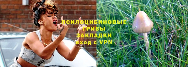 сатива Белоозёрский