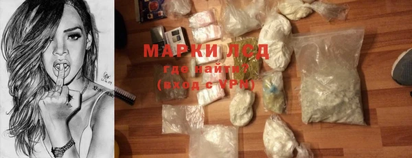 гидра Белокуриха
