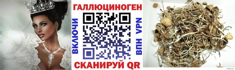 как найти закладки Боровичи Галлюциногенные грибы мухоморы